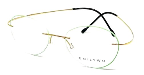 Emily Wu 6317