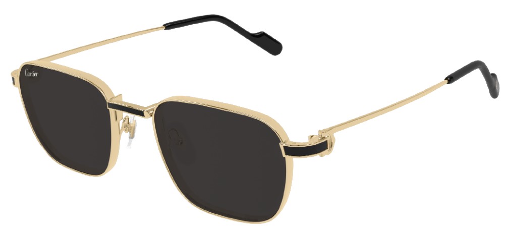 Cartier CT0497S