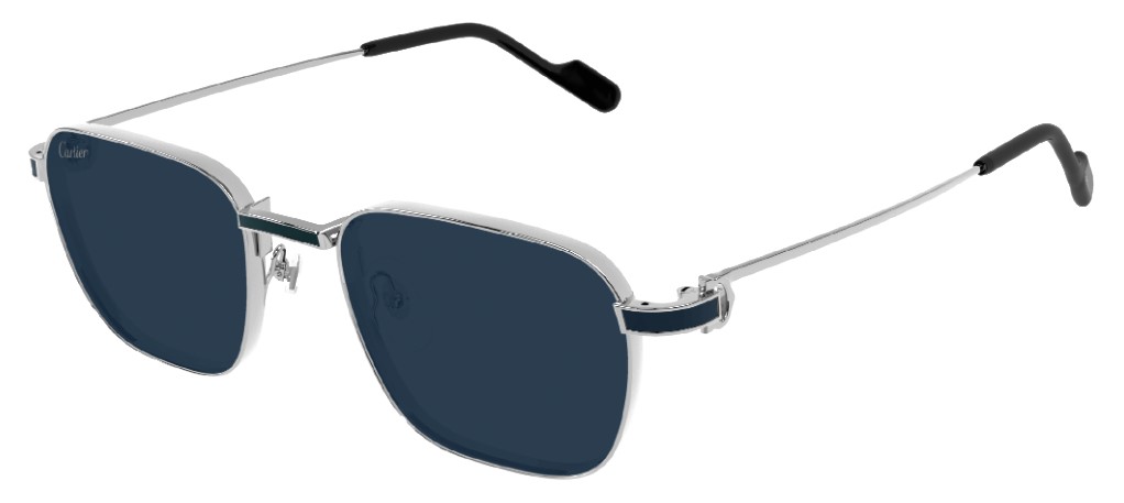 Cartier CT0497S