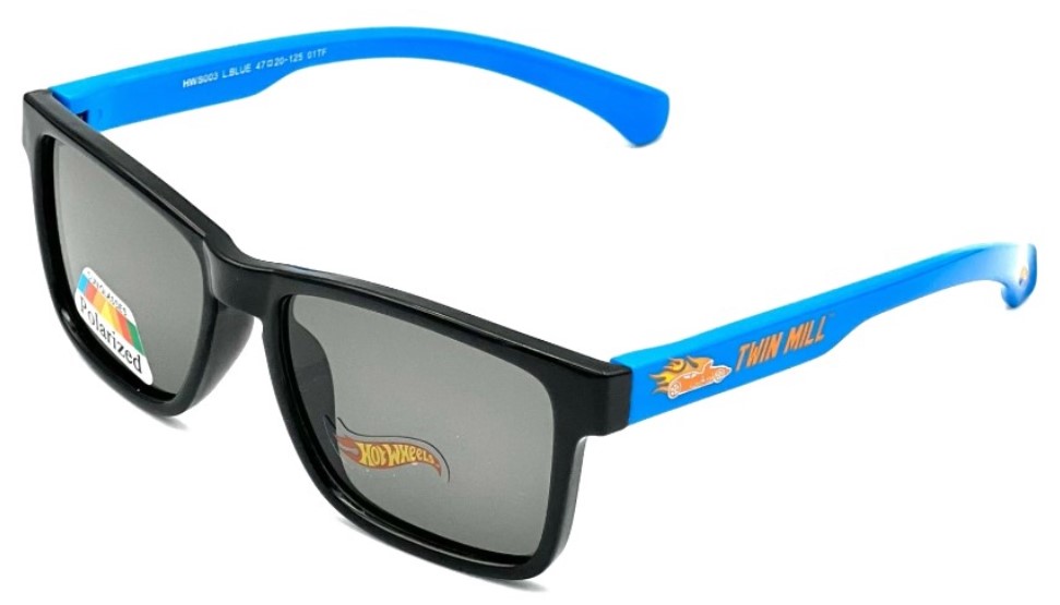 Купить HOT WHEELS HWS003