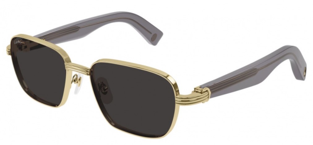 Cartier CT0538S